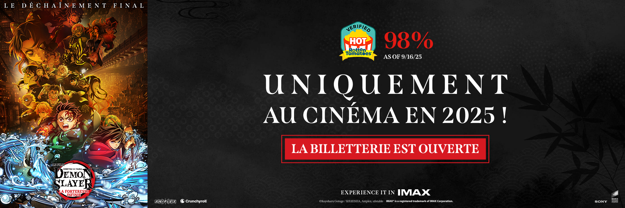 DSIC_2.0_Banner_Standard_Desktop_2100x700_KV_FR