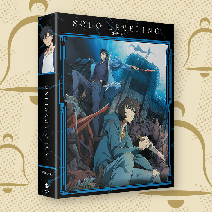 Le Blu-Ray Incontournable