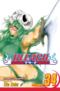 BLEACH Manga Volume 34
