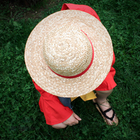 one-piece-luffy-straw-hat image number 1