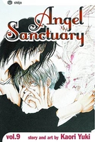 angel-sanctuary-graphic-novel-9 image number 0
