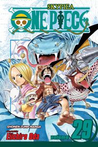 One Piece Manga Volume 29