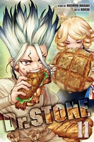 Dr. STONE Manga Volume 11 image number 0