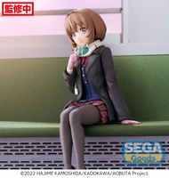 rascal-does-not-dream-of-a-sister-venturing-out-kaede-azusagawa-pm-prize-figure-perching-ver image number 1