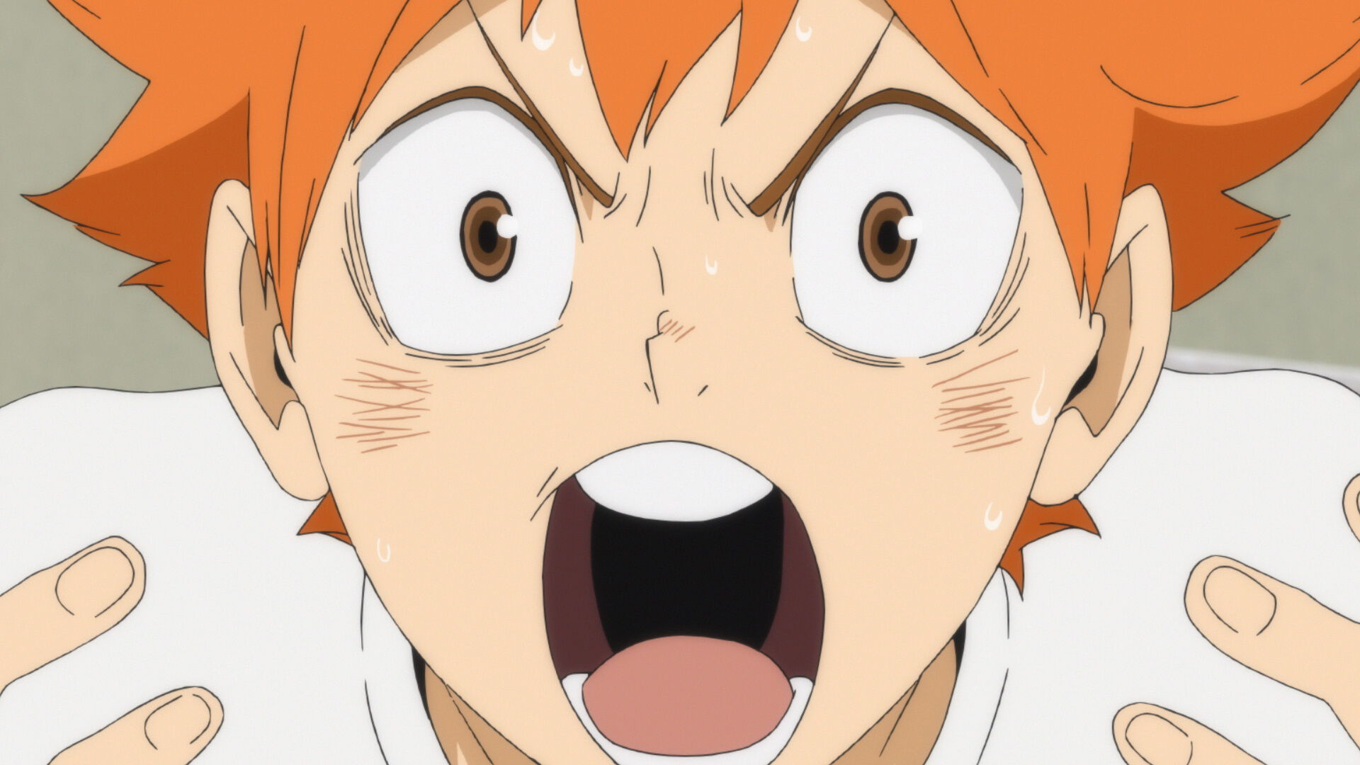 HQ4-04-CAP-0088 image number 2