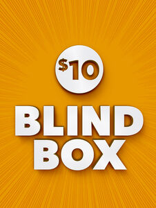 $10 Blind Box Bargain Item