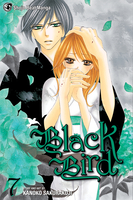 Black Bird Manga Volume 7 image number 0