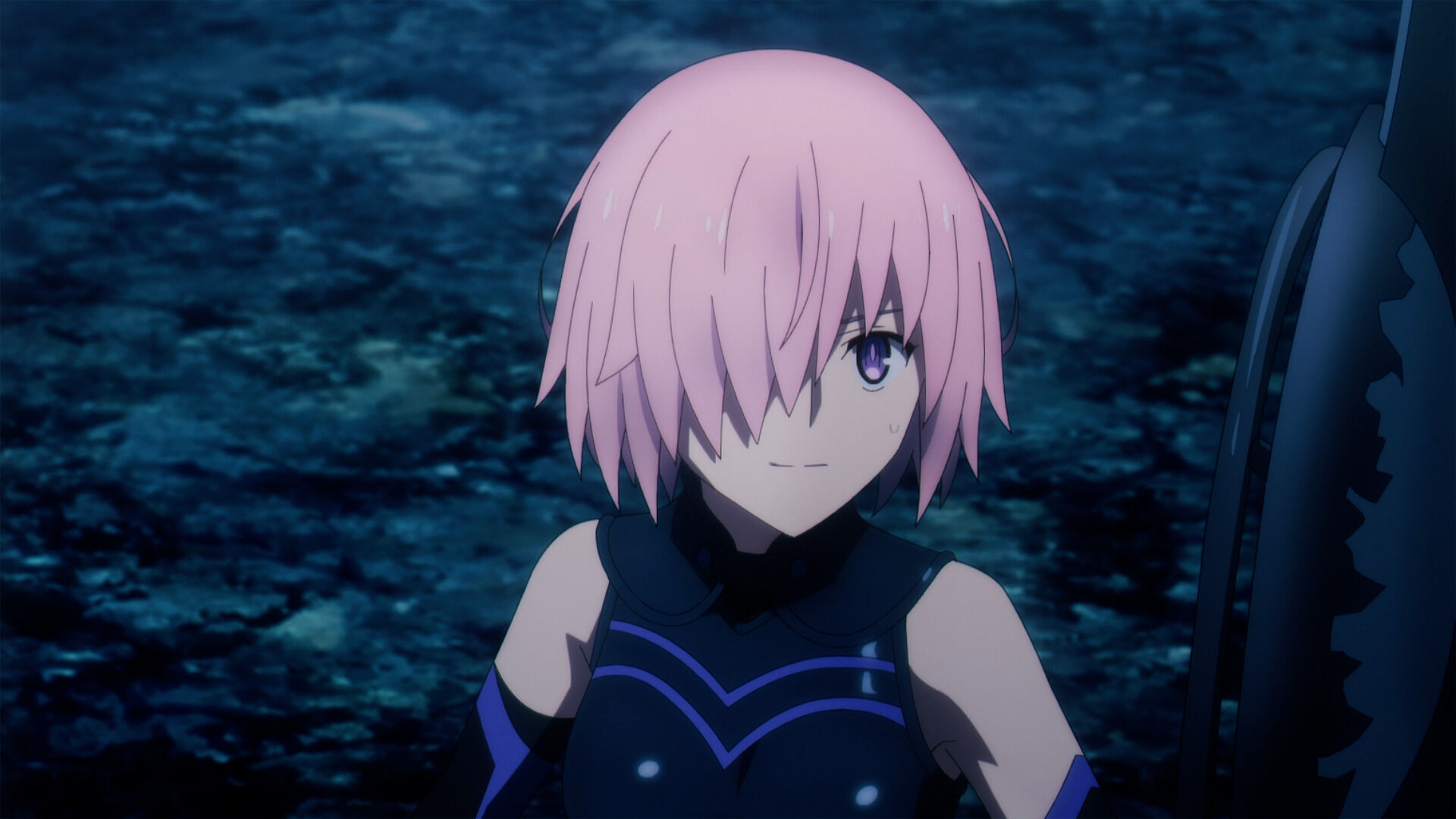 fgof-0408 image number 4