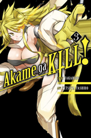 Akame ga KILL! Manga Volume 3 image number 0
