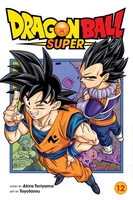 Dragon Ball Super Manga Volume 12 image number 0