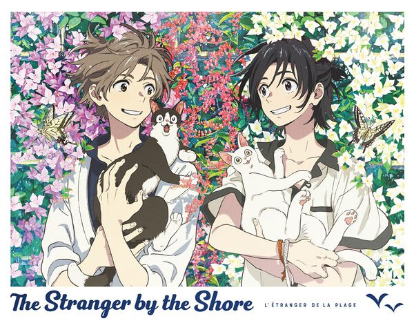 The Stranger by the Shore Limited Edition Blu-ray | Crunchyroll Store