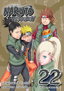 Naruto Shippuden - Set 22 Uncut - DVD