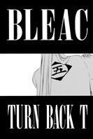 BLEACH Manga Volume 36 image number 4
