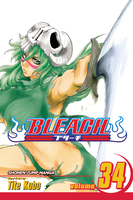 BLEACH Manga Volume 34 image number 0