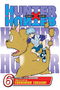 Hunter X Hunter Manga Volume 6