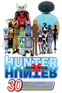 Hunter X Hunter Manga Volume 30