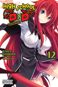 High School DxD Novel Volume 12