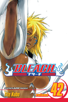 BLEACH Manga Volume 42 image number 0