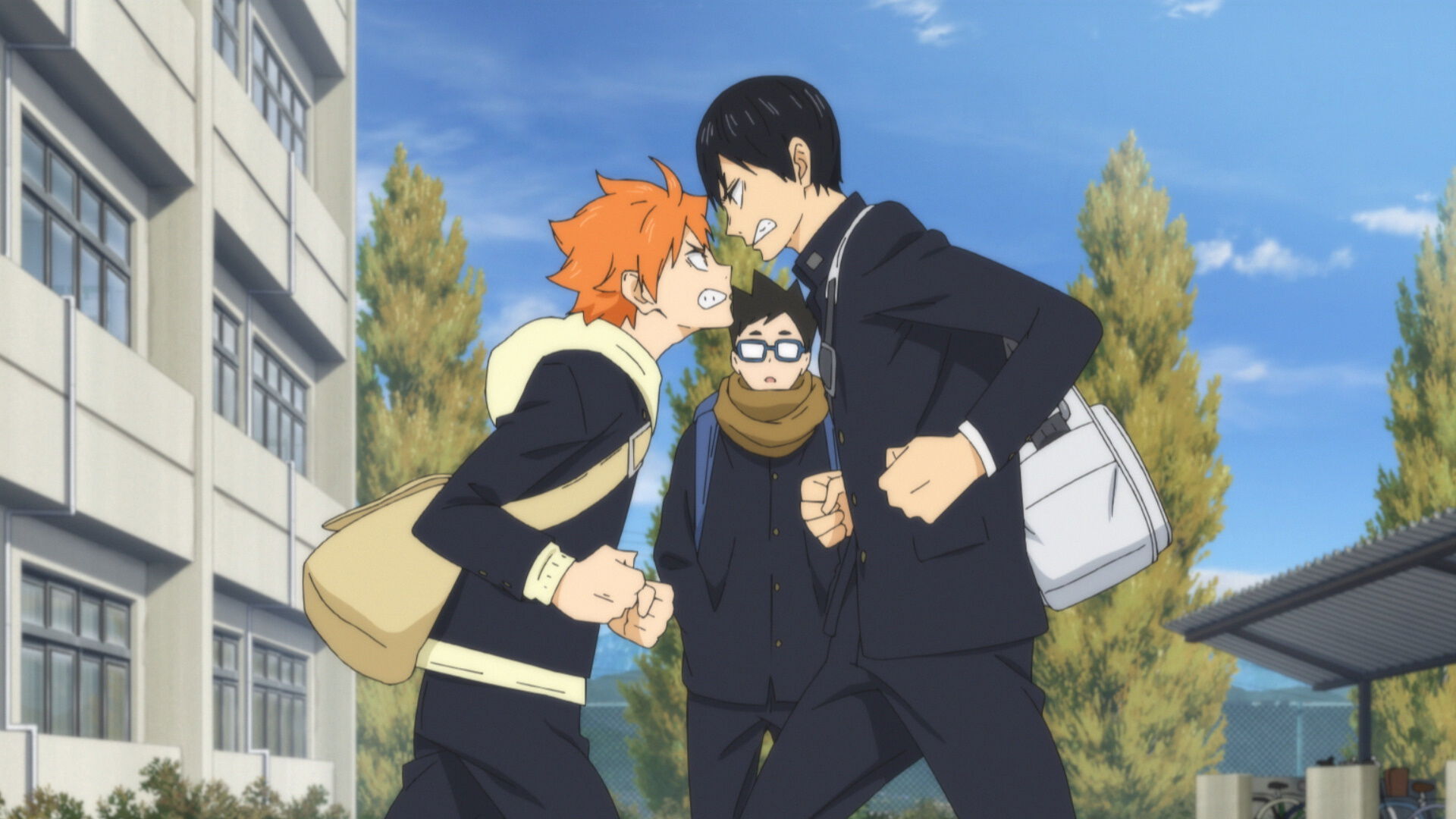 HQ4-01-CAP-0003 image number 5