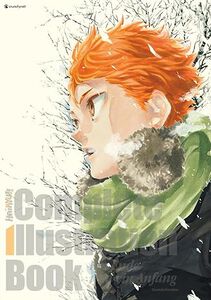 Haikyu!! Complete Illustration Book (Allemand)