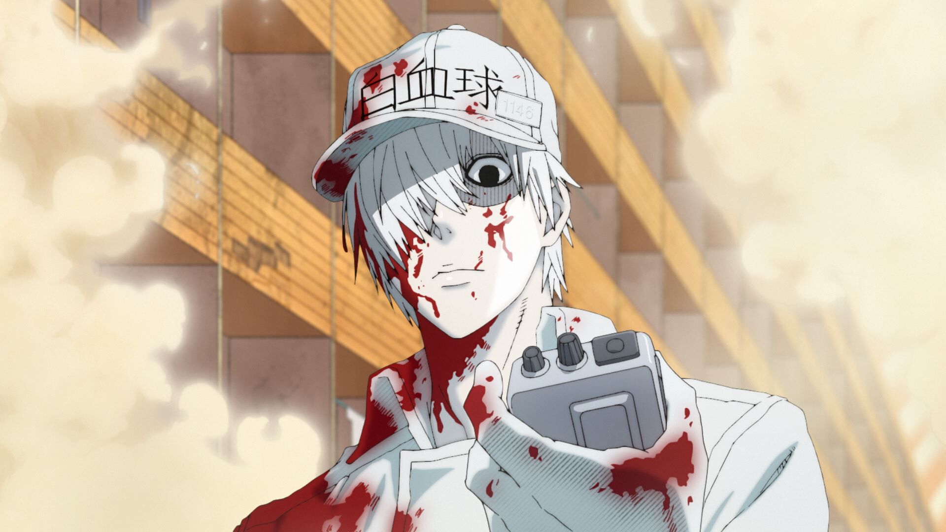 HS0137 image number 5