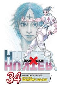 Hunter X Hunter Manga Volume 34