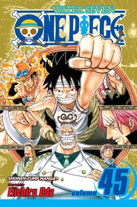 One Piece Manga Volume 45