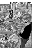 one-piece-manga-volume-43-water-seven image number 2
