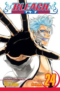 BLEACH Manga Volume 24