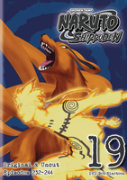 Naruto Shippuden - Set 19 Uncut - DVD image number 0
