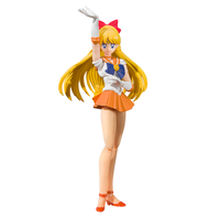 Pretty Guardian Sailor Moon - Sailor Venus Figure (Animation Color Ver.) image number 0