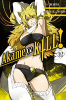 Akame ga KILL! Manga Volume 12 image number 0