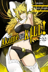 Akame ga KILL! Manga Volume 12