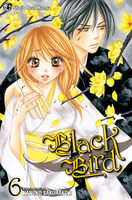 Black Bird Manga Volume 6 image number 0