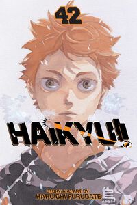 Haikyu!! Manga Volume 42