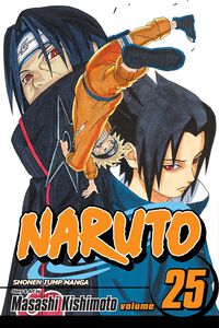 Naruto Manga Volume 25