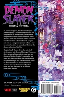 Demon Slayer: Kimetsu no Yaiba Manga Volume 15 image number 1