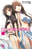 Accel World Novel Volume 17 image number 0