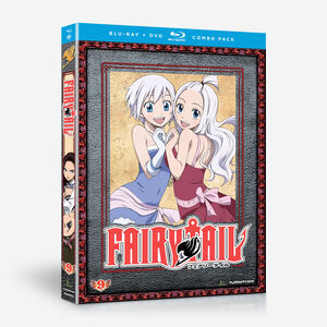 Fairy Tail - Part 9 - Blu-ray + DVD
