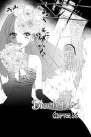 Black Bird Manga Volume 10 image number 1