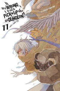 Is It Wrong to Try to Pick Up Girls in a Dungeon? Novel Volume 11