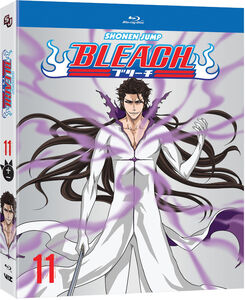 Bleach DVD Set 13 (Hyb) (Eps 194-205)