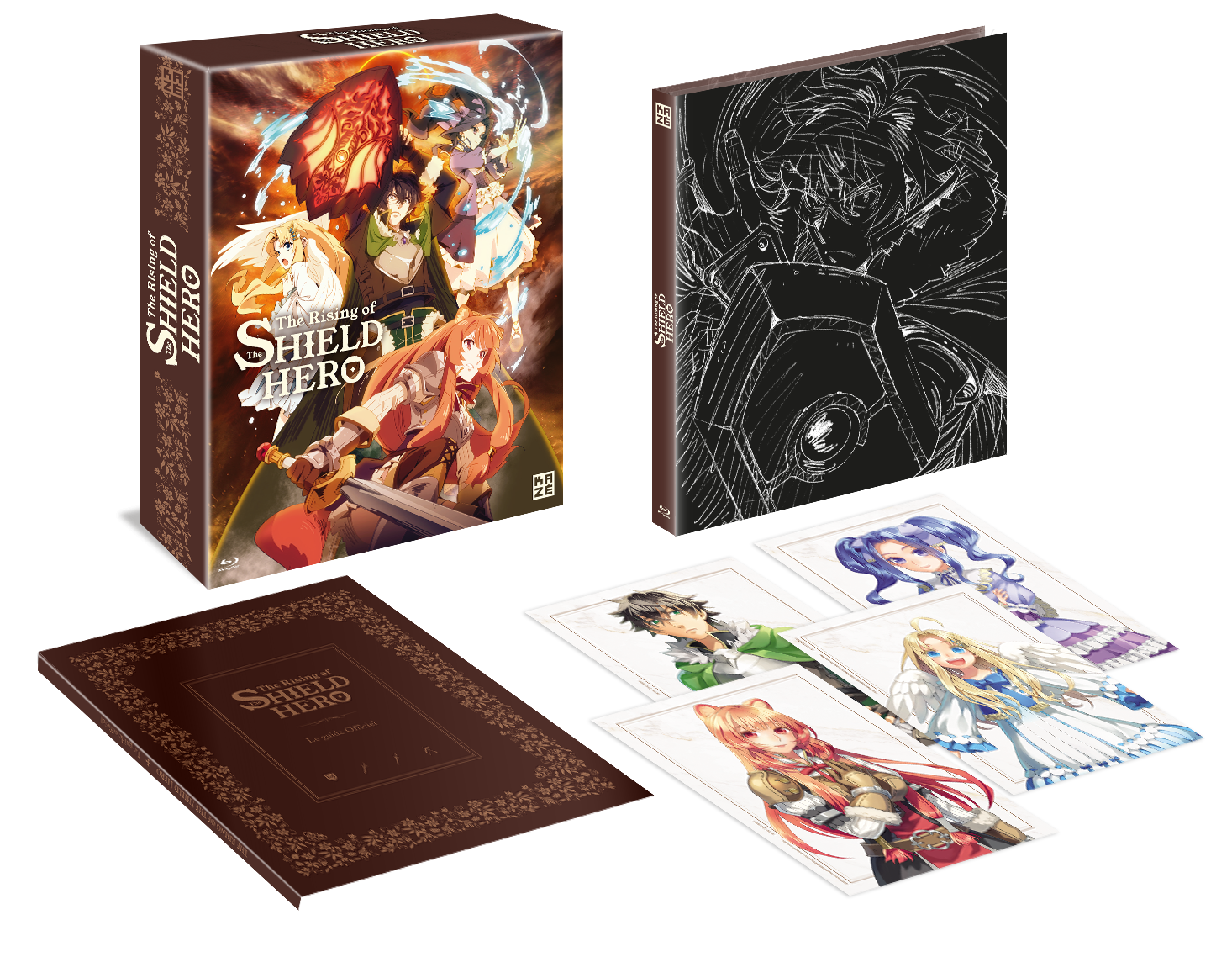 Rising-Shield-BOX-BR-1D-eclate image number 0