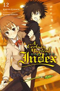 A Certain Magical Index Novel Volume 12
