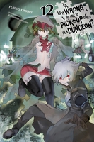 Is It Wrong to Try to Pick Up Girls in a Dungeon? Novel Volume 12 image number 0