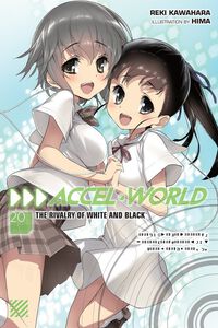 Accel World Novel Volume 20