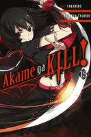 Akame ga KILL! Manga Volume 13 image number 0