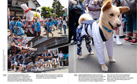 Japan's Best Friend: Dog Culture in the Land of the Rising Sun image number 2