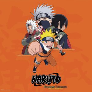 Naruto - Symphonic Experience Vinyl