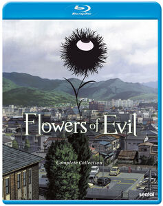 Flowers of Evil Blu-ray